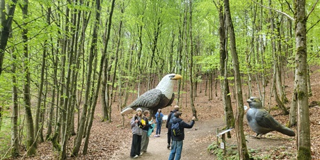 Powiększ grafikę: klasa-4b-w-parku-gigantow-na-kaszubach-693480.jpg