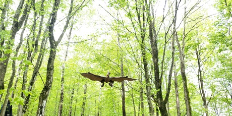 Powiększ grafikę: klasa-4b-w-parku-gigantow-na-kaszubach-693481.jpg