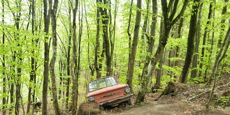 Powiększ grafikę: klasa-4b-w-parku-gigantow-na-kaszubach-693483.jpg