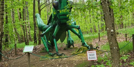 Powiększ grafikę: klasa-4b-w-parku-gigantow-na-kaszubach-693500.jpg