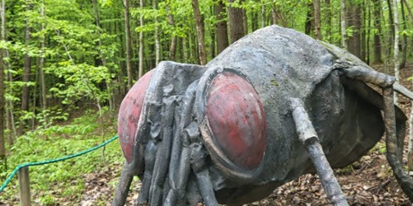 Powiększ grafikę: klasa-4b-w-parku-gigantow-na-kaszubach-693501.jpg