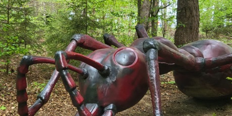 Powiększ grafikę: klasa-4b-w-parku-gigantow-na-kaszubach-693502.jpg