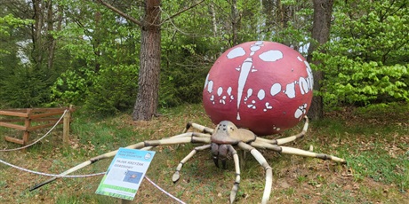 Powiększ grafikę: klasa-4b-w-parku-gigantow-na-kaszubach-693504.jpg
