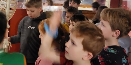 Powiększ grafikę: muzeum-archeologiczne-blekitny-baranek-681078.jpg