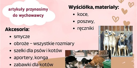 Powiększ grafikę: pomagamy-i-wspieramy-zwierzeta-507544.jpg