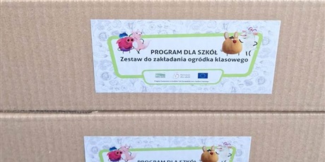 Powiększ grafikę: Ogródek klasowy – pierwsze kroki ku zielonej edukacji.