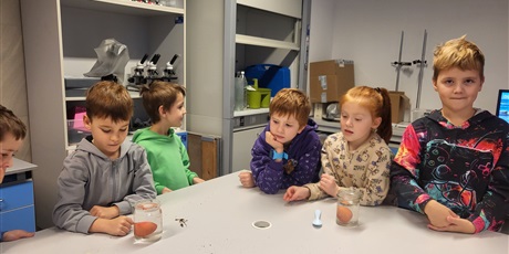 Warsztaty - Morskie tajemnice