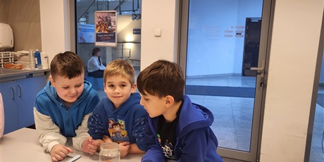 Powiększ grafikę: warsztaty-morskie-tajemnice-654432.jpg