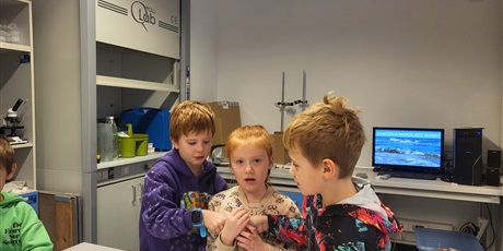 Powiększ grafikę: warsztaty-morskie-tajemnice-654434.jpg