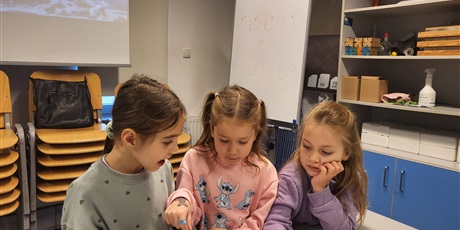 Powiększ grafikę: warsztaty-morskie-tajemnice-654435.jpg