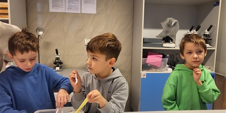 Powiększ grafikę: warsztaty-morskie-tajemnice-654436.jpg