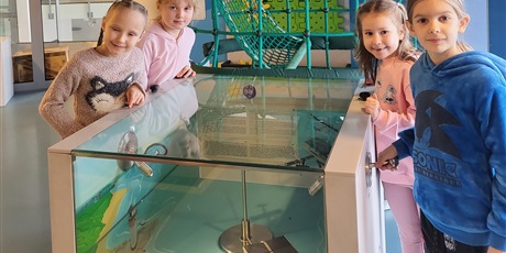 Powiększ grafikę: warsztaty-morskie-tajemnice-654437.jpg