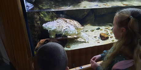 Powiększ grafikę: wyjscie-do-oceanarium-w-gdyni-425960.jpg