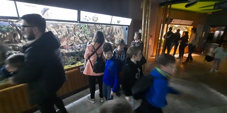 Powiększ grafikę: wyjscie-do-oceanarium-w-gdyni-425966.jpg