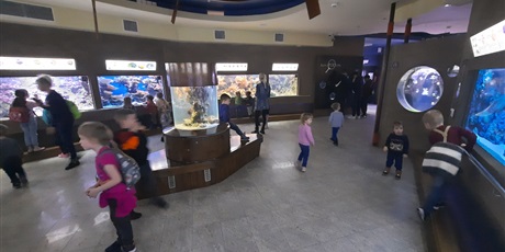 Powiększ grafikę: wyjscie-do-oceanarium-w-gdyni-426001.jpg