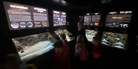 Powiększ grafikę: wyjscie-do-oceanarium-w-gdyni-426014.jpg