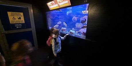 Powiększ grafikę: wyjscie-do-oceanarium-w-gdyni-426023.jpg