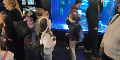 Powiększ grafikę: wyjscie-do-oceanarium-w-gdyni-426034.jpg