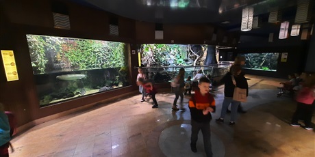 Powiększ grafikę: wyjscie-do-oceanarium-w-gdyni-426045.jpg