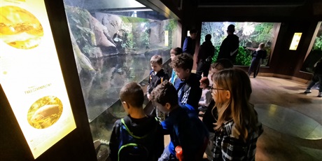 Powiększ grafikę: wyjscie-do-oceanarium-w-gdyni-426047.jpg