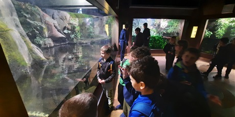 Powiększ grafikę: wyjscie-do-oceanarium-w-gdyni-426048.jpg