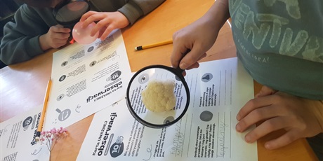 Powiększ grafikę: Podsumowanie spotkań w "Krainie Uważności"