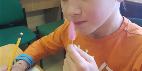 Powiększ grafikę: Podsumowanie spotkań w "Krainie Uważności"